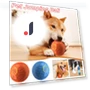 Smart Cat Toy with Rolling Ball — Cat Playthings, GYROBALL