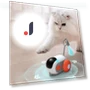 Smart Running Car Remote Control Electric Cat Toy — Cat Playthings, Seahorse Home