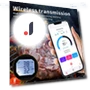 Smart Wireless BBQ Thermometer — Grill Thermometers, Home Of Auto Parts