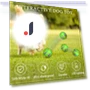 Interactive Dog Toy Ball — Balls, Dainty