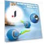 Electric Cat Toy Ball — Cat Playthings, yangyizhi