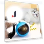 Interactive Cat Ball with Feather Tails and Sound — Cat Playthings, World Auto Parts