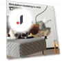 Interactive Cat Toy — Cat Playthings, Kitty Cat House