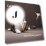 Interactive Cat Training Toy — Cat Playthings, AI Supermarket