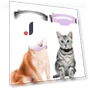 Puppy Collar Battery Operated Animal Tracking Movement Alert Collar Pet Anti Lost Tracker — Trackers, Clock-Mall
