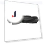 Replacement Parts for Main Brush, Roller Brush — Parts & Accessories, CosyHome