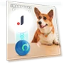 Rolling Ball for Pets with LED Light — Balls, Amusedly