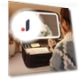 Smart LED Cosmetic Bag with Mirror — Cosmetic Cases, JOHO - CarGear