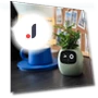 Smart Pot — Workspace & Living, 888 Auto Parts Town