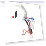 24V 250W Motor Brush Controller Box — Motors, 3d printing machine
