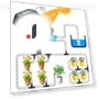 Automatic Plant Watering System — Automatic Irrigation, SunshineTek