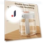 Double Spray Humidifier with USB Charging — Air Moisturizers, GC SupMarket