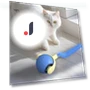 Interactive Cat Toy Ball — Cat Playthings, Pet park