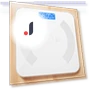Smart Weight Scale — Weight Management Tools, Chic Home
