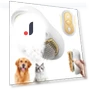 3-in-1 Electric Pet Grooming Brush with Water Tank — Brushes, Smart Pet Supplies