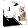 Automatic Cat Toy with Replaceable Feathers — Cat Playthings, Smart Pet Supplies