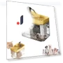 Automatic Drinking Fountain with Water Dispenser — Pet Hydration Solutions, Koomi Global