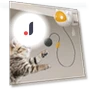 Automatic Lift Ball for Cats — Cat Playthings, ZJM Mall