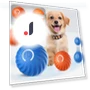 Automatic Moving Jumping Electronic Rolling Smart Ball — Automatic Launchers, JINGYUE Pet