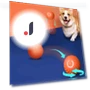 Automatic Moving Jumping Pet Toy Ball — Interactive Animal Companions, JINGYUE Pet