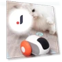 Automatic Moving Toy Car for Pets — Interactive Animal Companions, JINGYUE Pet