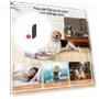 Automatic Pet Feeder — Automatic Feeders, OvO Day