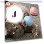 Automatic Rolling Ball — Cat Playthings, grocercollect