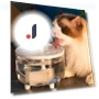 Automatic Water Fountain for Cats and Dogs — Fountains, Melcke
