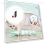 Electric Fun Toy for Cats — Cat Playthings, Smart Pet Supplies