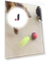 Interactive Cat Ball — Cat Playthings, Corners of the City MALL