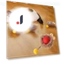 Interactive Cat Toy Ball — Cat Playthings, JINGYUE Pet