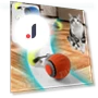 Interactive Cat Toy Ball — Cat Playthings, Smart Pet Supplies