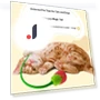 Interactive Cat Toy USB Electric Intelligent Rolling Ball — Cat Playthings, Smart Pet Supplies