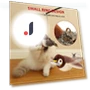 Interactive Cat Toy — Cat Playthings, Smart Pet Supplies