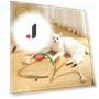 Interactive Dental Cotton Rope Toys — Cat Playthings, Smart Pet Supplies