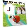 Interactive Pet Toy Ball — Cat Playthings, JINGYUE Pet