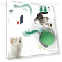 Interactive Pet Toy Ball — Interactive Animal Companions, JINGYUE Pet