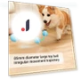 Interactive Rechargeable Pet Ball — Balls, Smart Pet Supplies