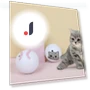 Interactive Training Ball for Kittens — Cat Playthings, Smart Pet Supplies