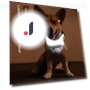 LED Dog Collar — Collars, Smart Pet Supplies