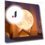 Moon Light — Creative Lighting Solutions, Fancy decoration