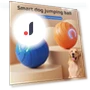 Moving LED Ball for Dogs — Balls, bestlili