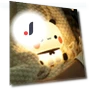 Night Light with Cartoon Panda — Night Lights, Sevier 3C