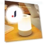 Rechargeable LED Touch Night Light — Night Lights, Trowel & Seed
