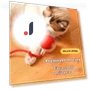 Rechargeable Smart Pet Toy — Balls, JINGYUE Pet