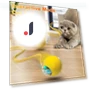 Interactive Motion-Activated Rolling Ball Toy — Cat Playthings, fanweixi
