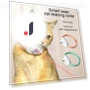 Smart Laser Cat Collar — Cat Playthings, YJMP