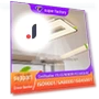 Smart Silent Ceiling Fan — Ceiling Fans, WoW Home