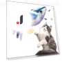 Interactive Flapping Wings Cat Toy — Cat Playthings, Lnatis