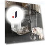 Automatic Cat Water Dispenser — Pet Hydration Solutions, Pet daily necessities